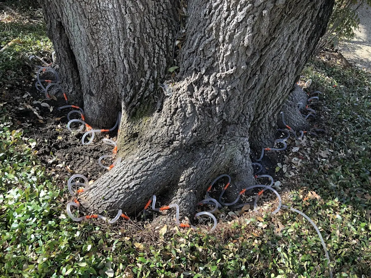Detailed Shrub and Hedge Trimming job site in Decker